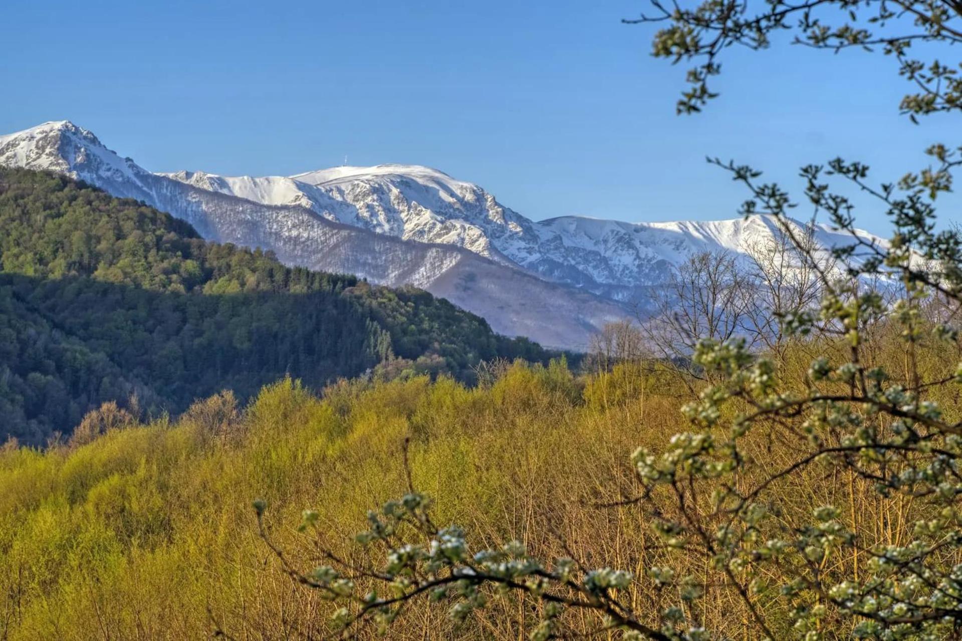 Authentic House With Stunning Mountain View - Karashka Villa อาพริลซี ภายนอก รูปภาพ