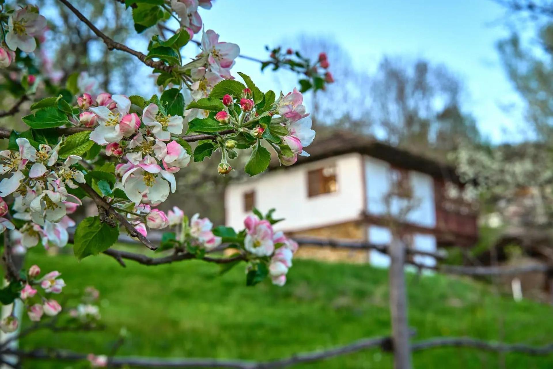 Authentic House With Stunning Mountain View - Karashka Villa อาพริลซี ภายนอก รูปภาพ